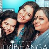 感想評価）インドの悪しき習慣に切り込んだ…Netflix映画トリバンガ～踊れ艶やかに～（感想）