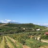 【WWOOF イタリア 体験記】気になる宿はどうだった？