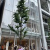 気づいたら、嬉しい