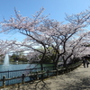 水月公園