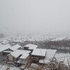 東京大雪の日に多摩丘陵で雪をモフモフ