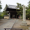 刀田山鶴林寺・菩提樹