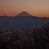 駄目押し