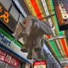 東京さんぽ