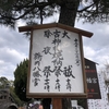 【鎌倉いいね】八幡様の大祓に行って来ました。そして大晦日らしい買い出し。