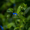 また‥雨