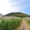 済州島(チェジュ島)秋のフォトスポット　＃ススキの揺れる「アックンタランシオルム」