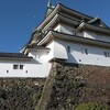 閑古鳥、鳴くなら鳴かせておこうブラックフライデー