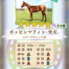 ダビマス　第62回公式BCに向けての生産③　エルコンドルパサー央燕＆ポッピンマフィン央天使って天皇賞(春)狙い！！！