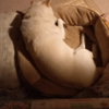 白柴犬のいぬさんと、4才の誕生日