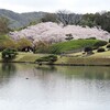 岡山 後楽園 花見