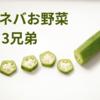 ネバネバお野菜3兄弟