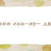 6/8　ひまわりギフト 【俳句*6月】