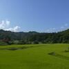 田舎の田んぼの風景