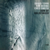 (ECM 2613) David Torn, Tim Berne, Ches Smith: Sun Of Goldfinger (2015, 2018) 冷たい昂奮