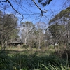 ◆（続）「十枝の森」で春を（大網白里市）