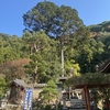 バカみたいな政策ばかりでうんざりする