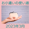 共働き主婦のお小遣い使い道　2023年3月 同じ物を2度買うハメになる等残念な出費あり
