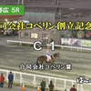 創立11周年記念の協賛レースを開催しました！