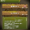 パズドラ　280日目　ゴッドフェスpart 2 も怒涛の金５連！も裏フェス強し！