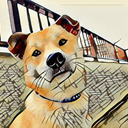 なうなうびれびれ