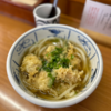 さぬき市志度の老舗！手打ちうどん『源内』かしわうどん
