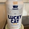 (ビール)LUCKY CAT飲んだ