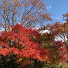 桜山公園