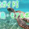 【完全ガイド】セブ島・モアルボアルの行き方とおすすめ観光スポット＆人気アクティビティまとめ！
