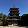 桜開花前、名所醍醐寺での秀吉の華やかな花見宴会を想像しながら