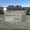 豊洲市場は見学だけでは物足りない