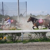 【北海道旅行】ばんえい競馬の町へ②