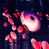 安曇野神竹灯で幻想的な写真を撮りたかった2021冬