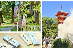 願いを天へ。京都「京の七夕」で年に一度の願いごと、清水寺のお焚き上げレポート