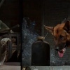 レックス～ウィーン警察シェパード犬刑事～Kommissar REX☆S3-10