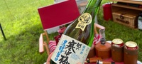 【実際に飲んだ】越の寒中梅 純米酒の評判は？口コミ、飲み方、味わい