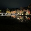 「秋の夜散歩」国営昭和記念公園で特別な秋を満喫！