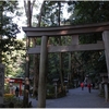 大神神社写真館（８/１４）