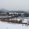 年末年始の帰省 1.大雪中の移動と雪かき