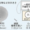 ★花粉の季節、マスクもいろいろ！