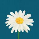 margaretbouquet’s blog