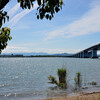 琵琶湖大橋　春の風景