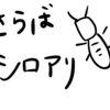 【シロアリ駆除話③】ペットのいる家のシロアリ駆除