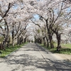 春の花々の芽生えを愉しむ！