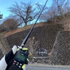【運用記録】足柄峠・山北つぶらの公園_2025/01/04