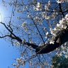 雲ひとつない快晴の今日。