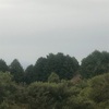 今朝の景色