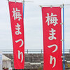 綱敷天満宮「しいだ梅まつり」！
