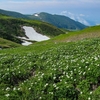 鳥海山ー残雪と花の季節ー