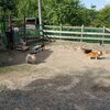 無料で使いこなす＾＾